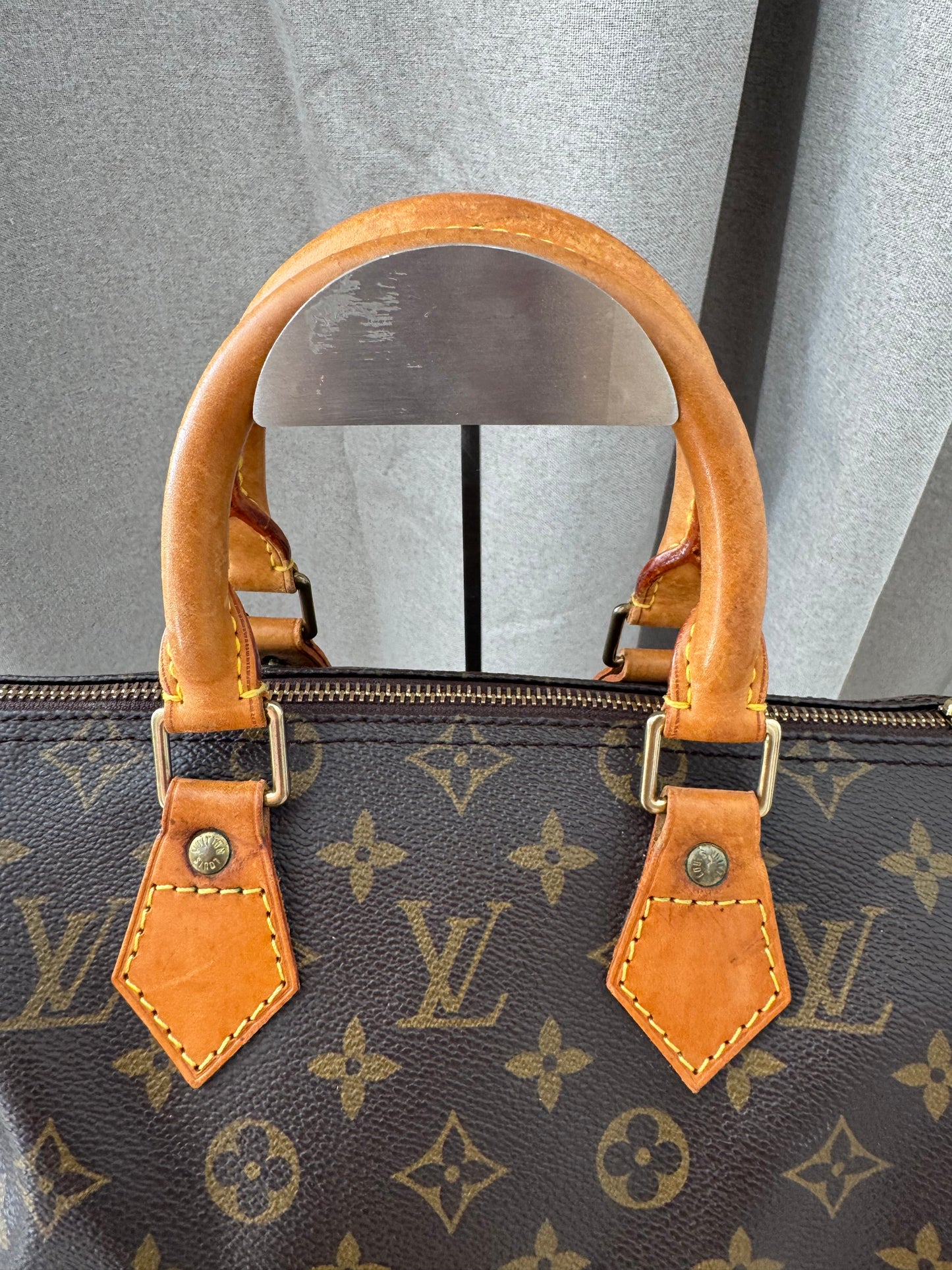 Louis Vuitton Speedy 25 Bag