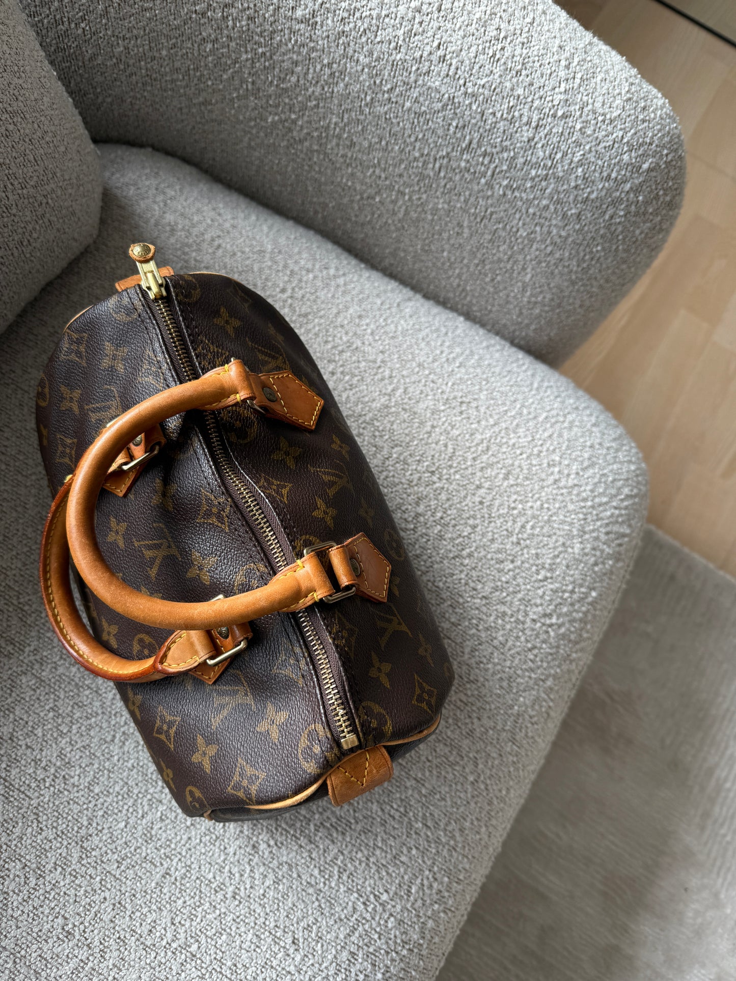 Louis Vuitton Speedy 25 Bag