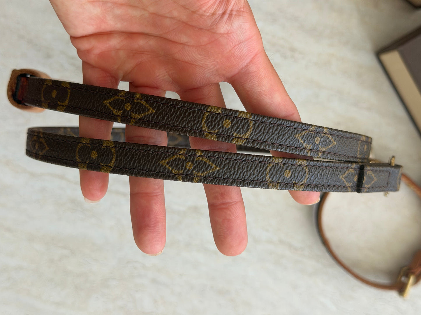 Louis Vuitton Baxter hundesnor & halsbånd – Monogram Canvas