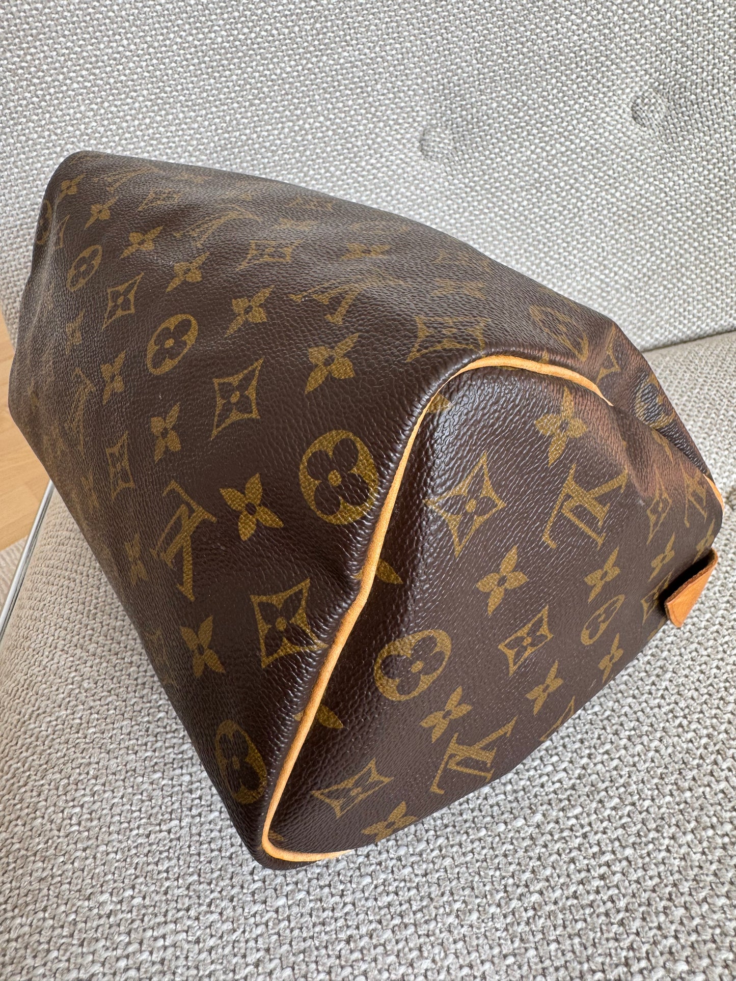 Louis Vuitton Speedy 25 Bag