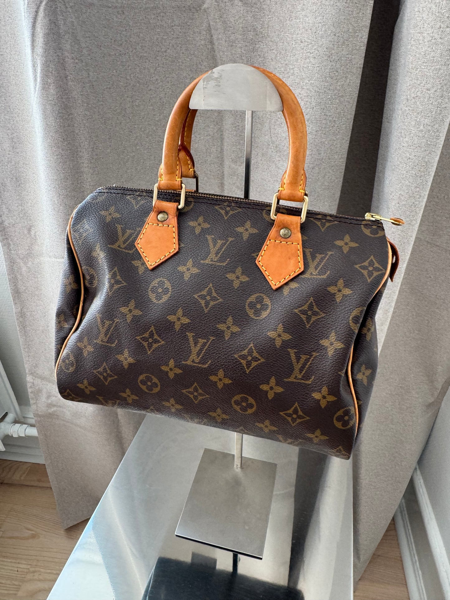 Louis Vuitton Speedy 25 Bag