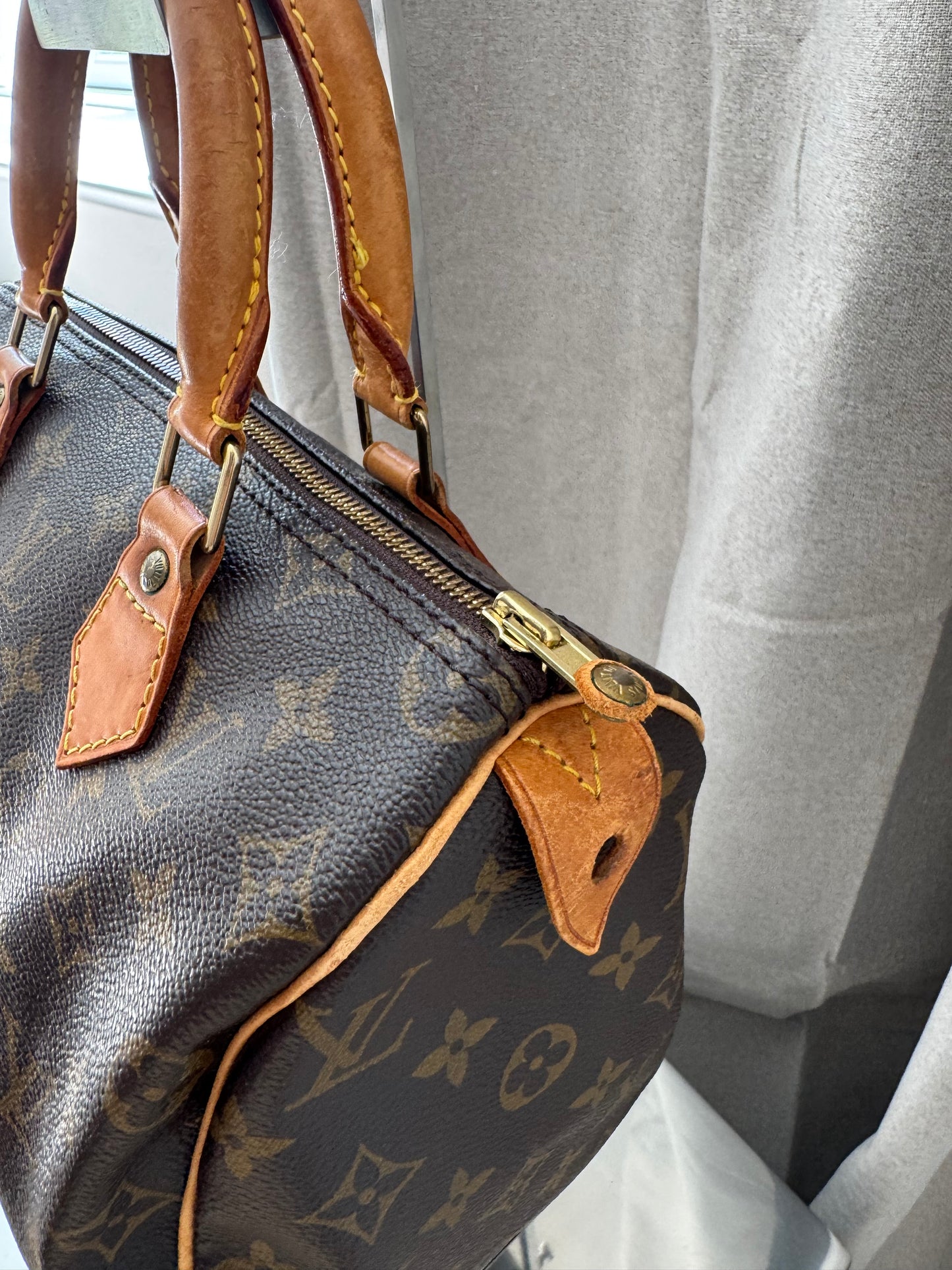 Louis Vuitton Speedy 25 Bag