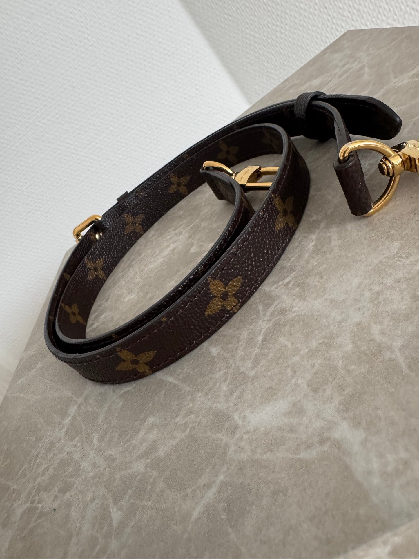 Louis Vuitton Métis – Monogram Canvas