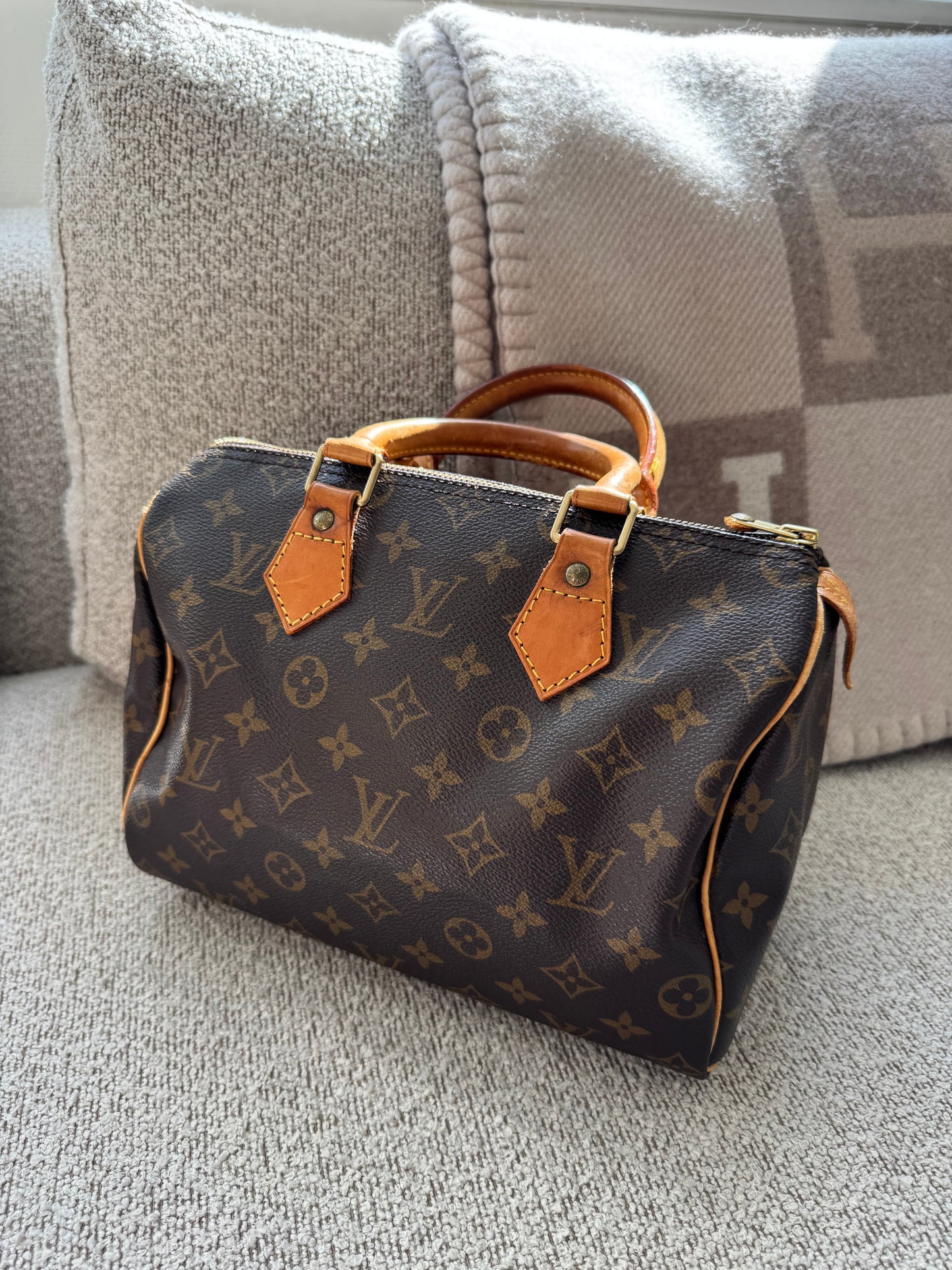 Louis Vuitton Speedy 25 Bag