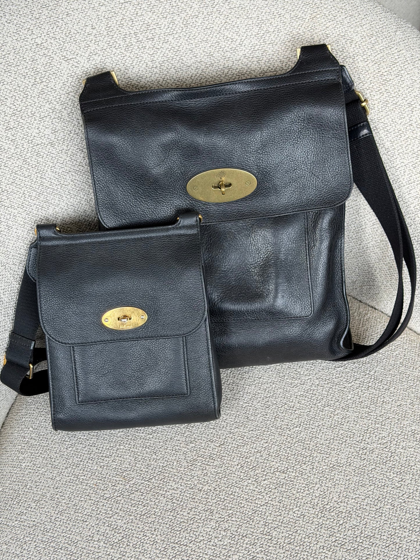 Mulberry Lily Small