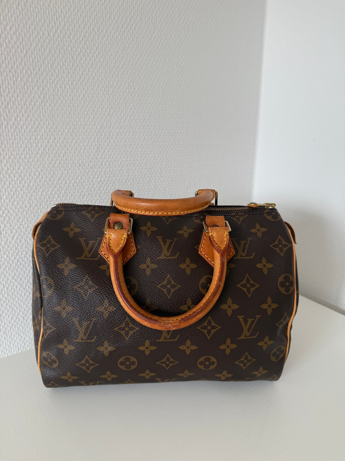 Louis Vuitton Speedy 25 Bag