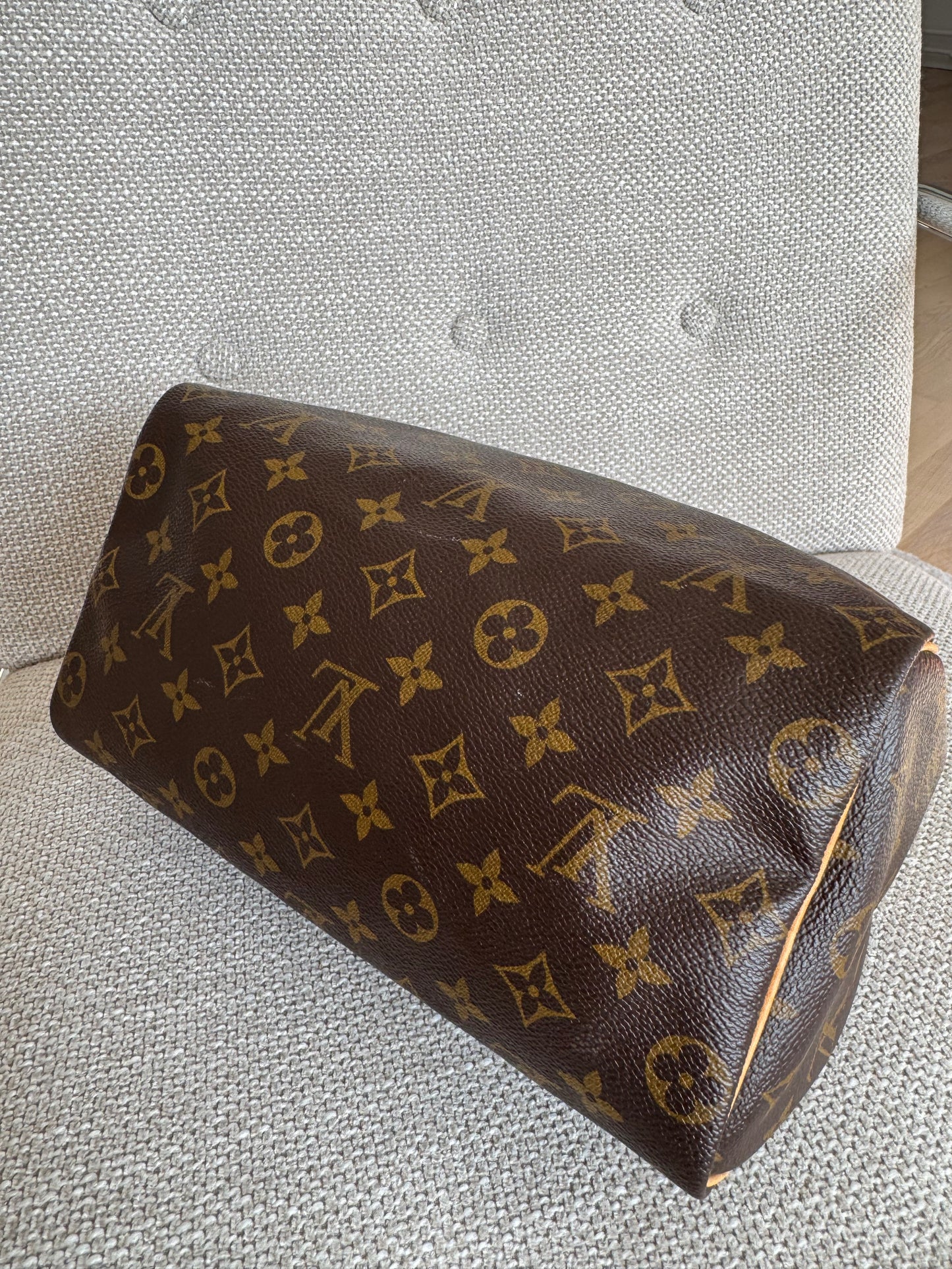 Louis Vuitton Speedy 25 Bag