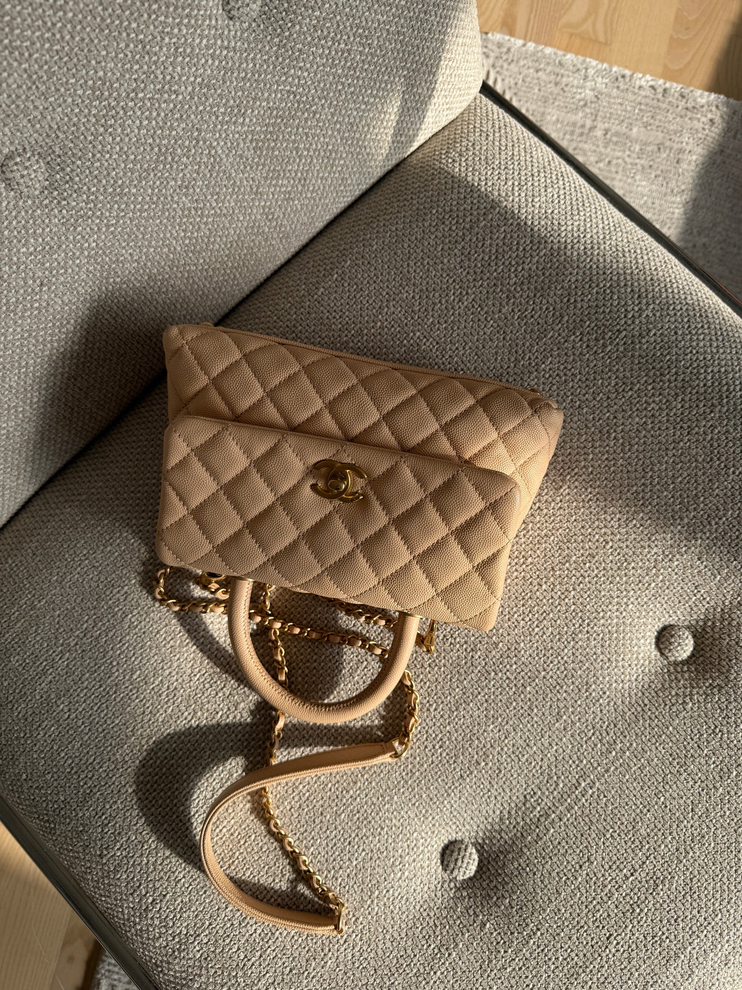 Chanel Caviar Lizard