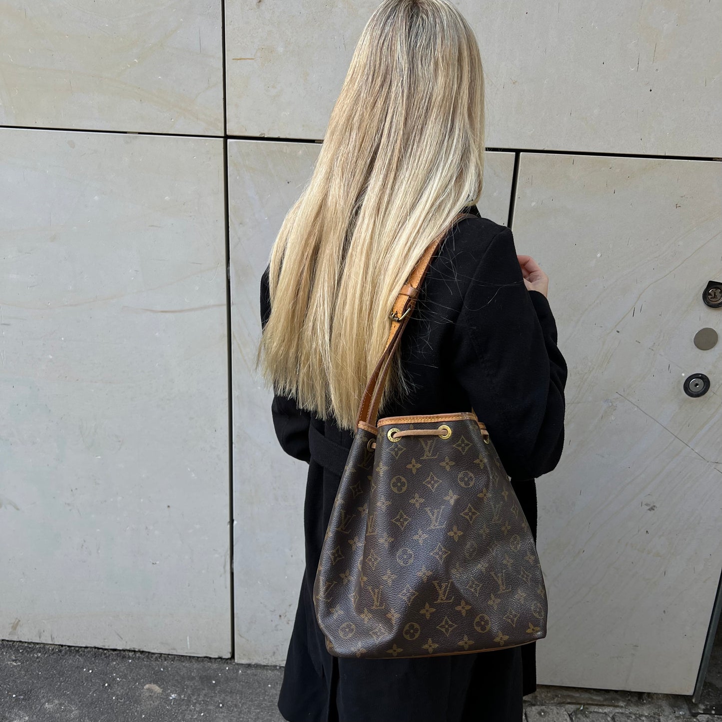 Bestillingsvare - Louis Vuitton Petit Noé Monogram Petit