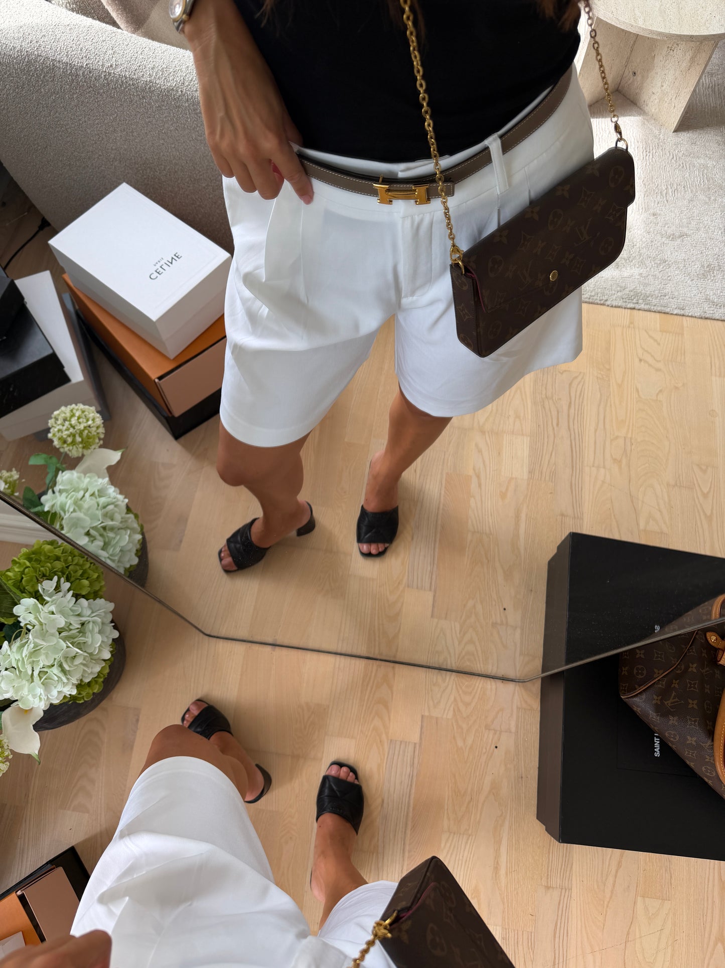 Louis Vuitton Pochette Félicie Monogram Canvas