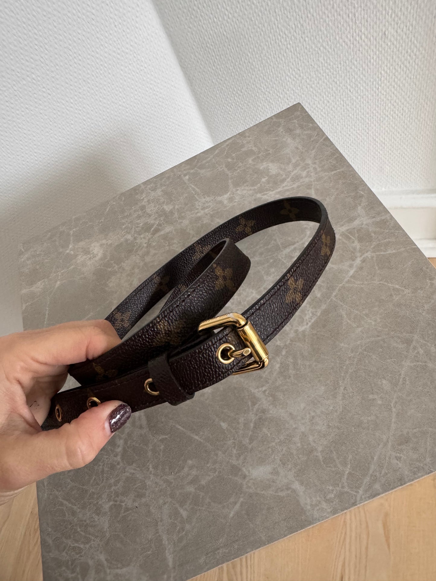 Louis Vuitton Métis – Monogram Canvas