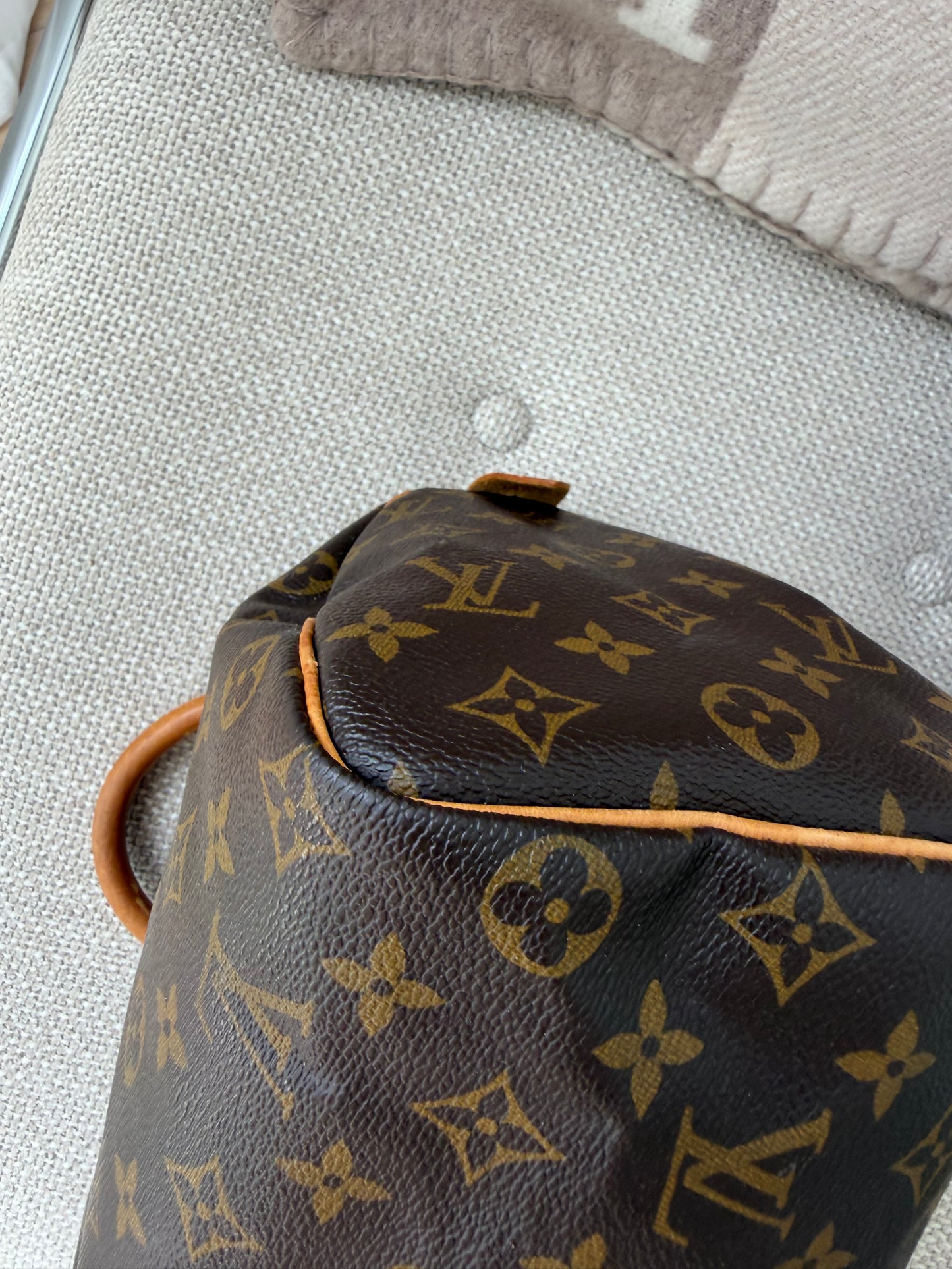 Louis Vuitton Speedy 25 – Monogram Canvas