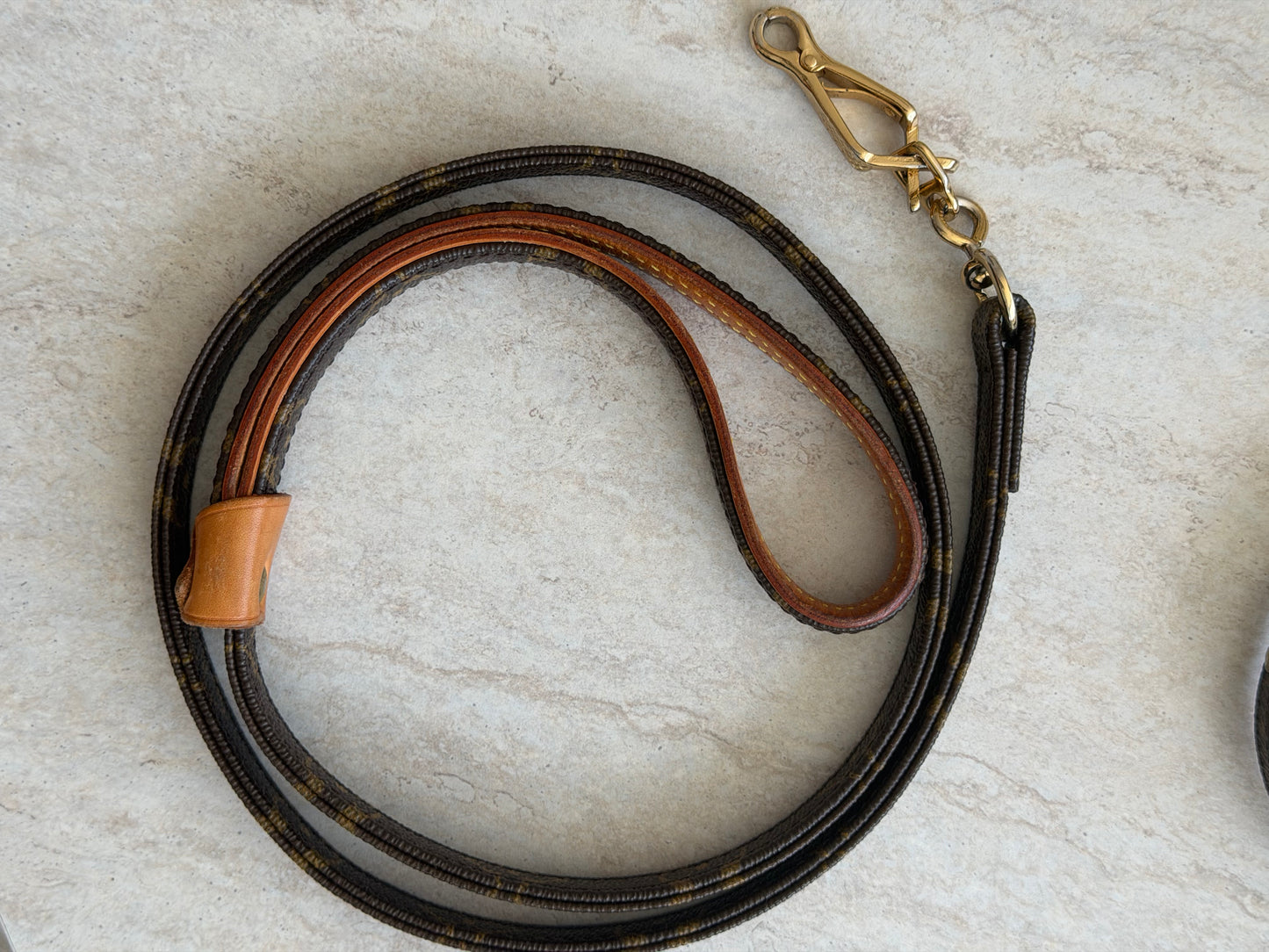 Louis Vuitton Baxter hundesnor & halsbånd – Monogram Canvas