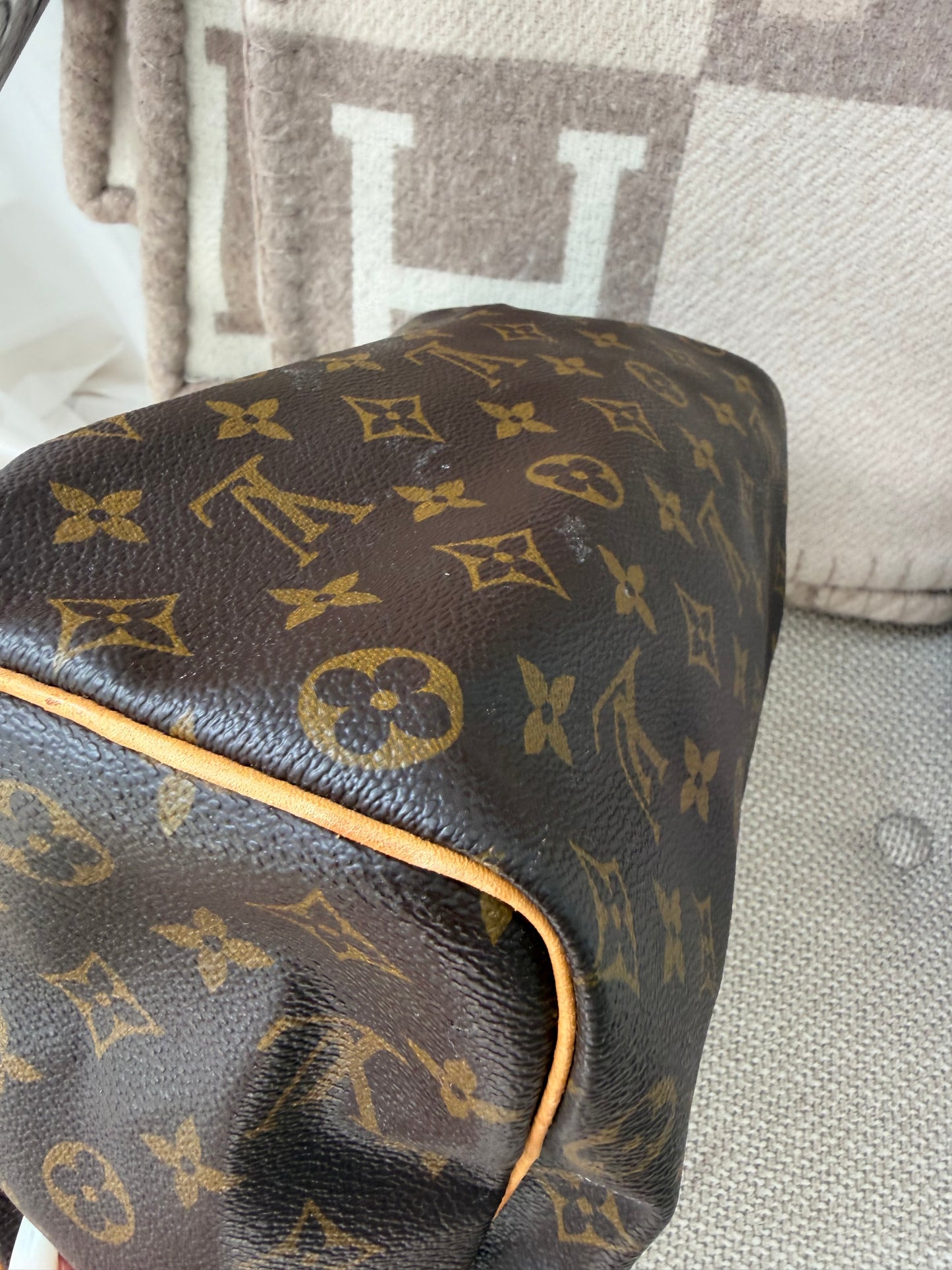Louis Vuitton Speedy 25 – Monogram Canvas