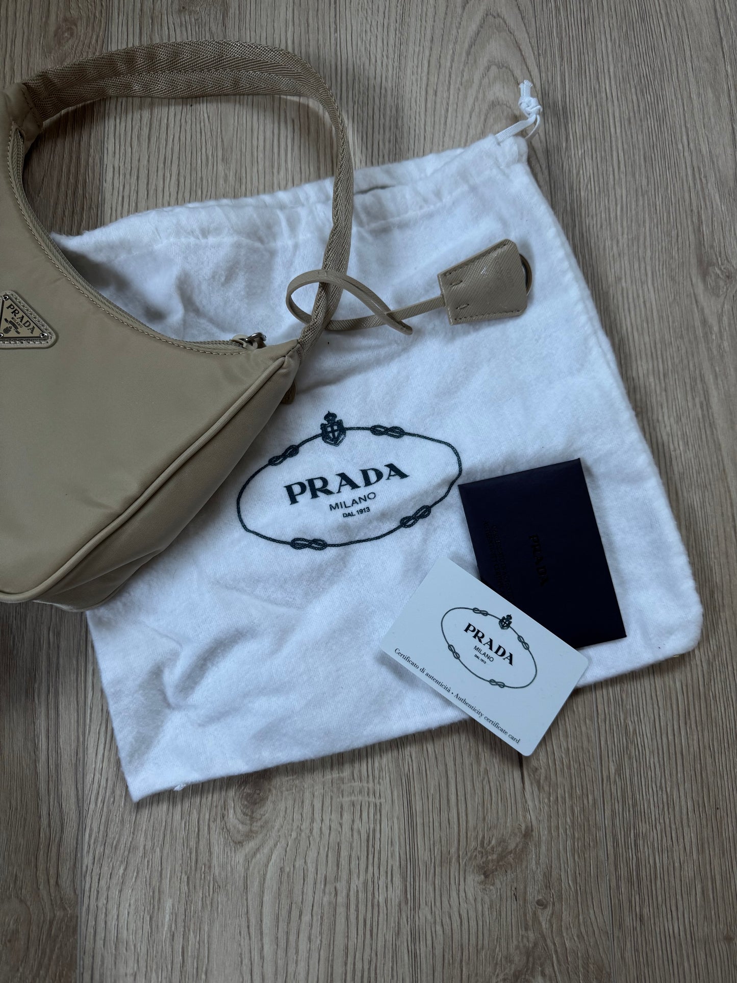 Prada Re-Edition 2000 Deserto Bag