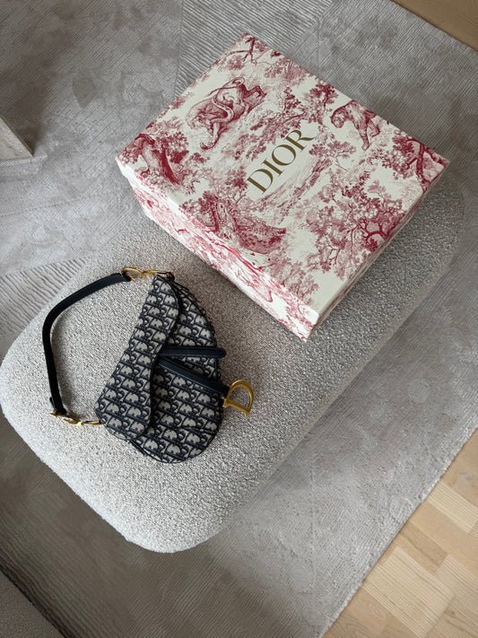 Dior saddle bag