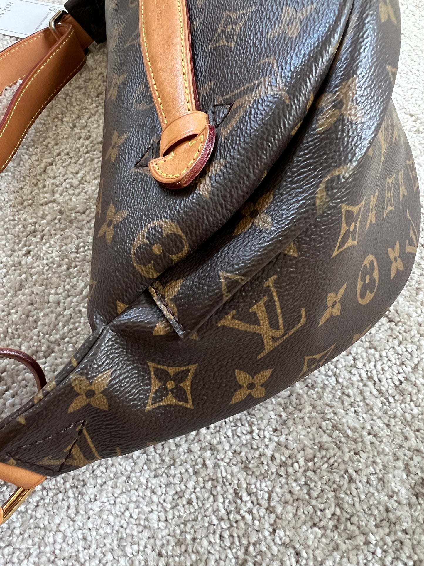 Louis Vuitton Bumbag Monogram