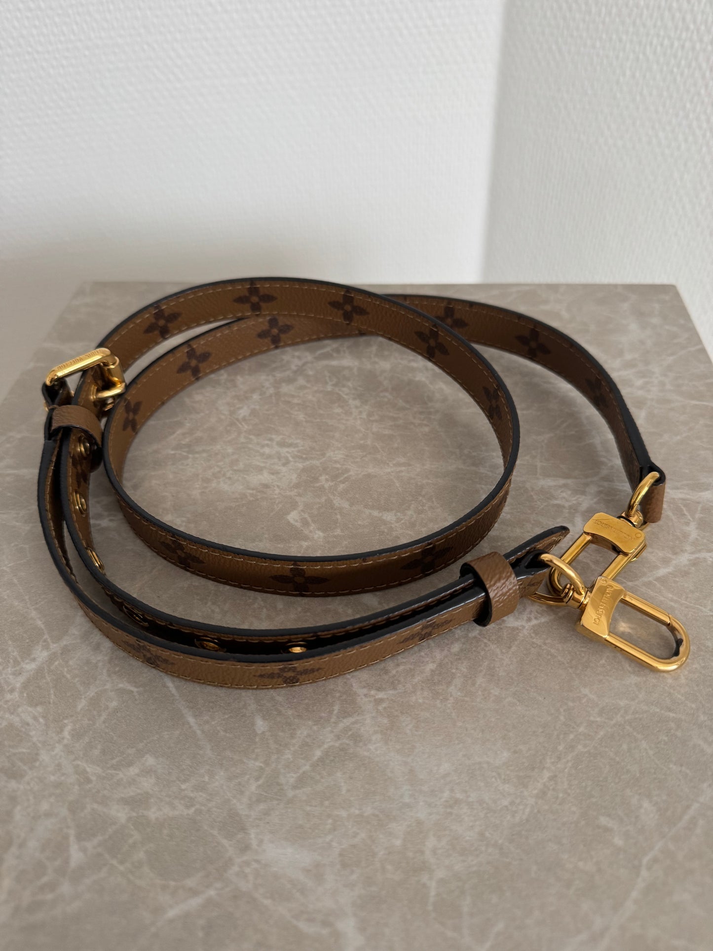 Louis Vuitton Pochette Métis Reverse Monogram