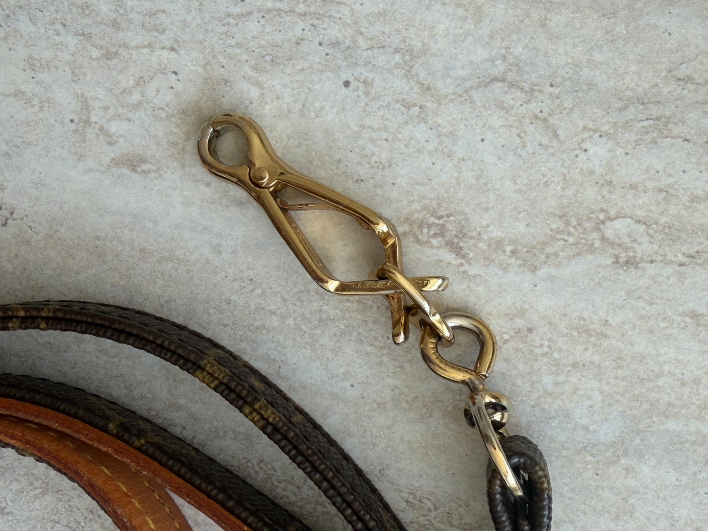 Louis Vuitton Baxter hundesnor & halsbånd – Monogram Canvas