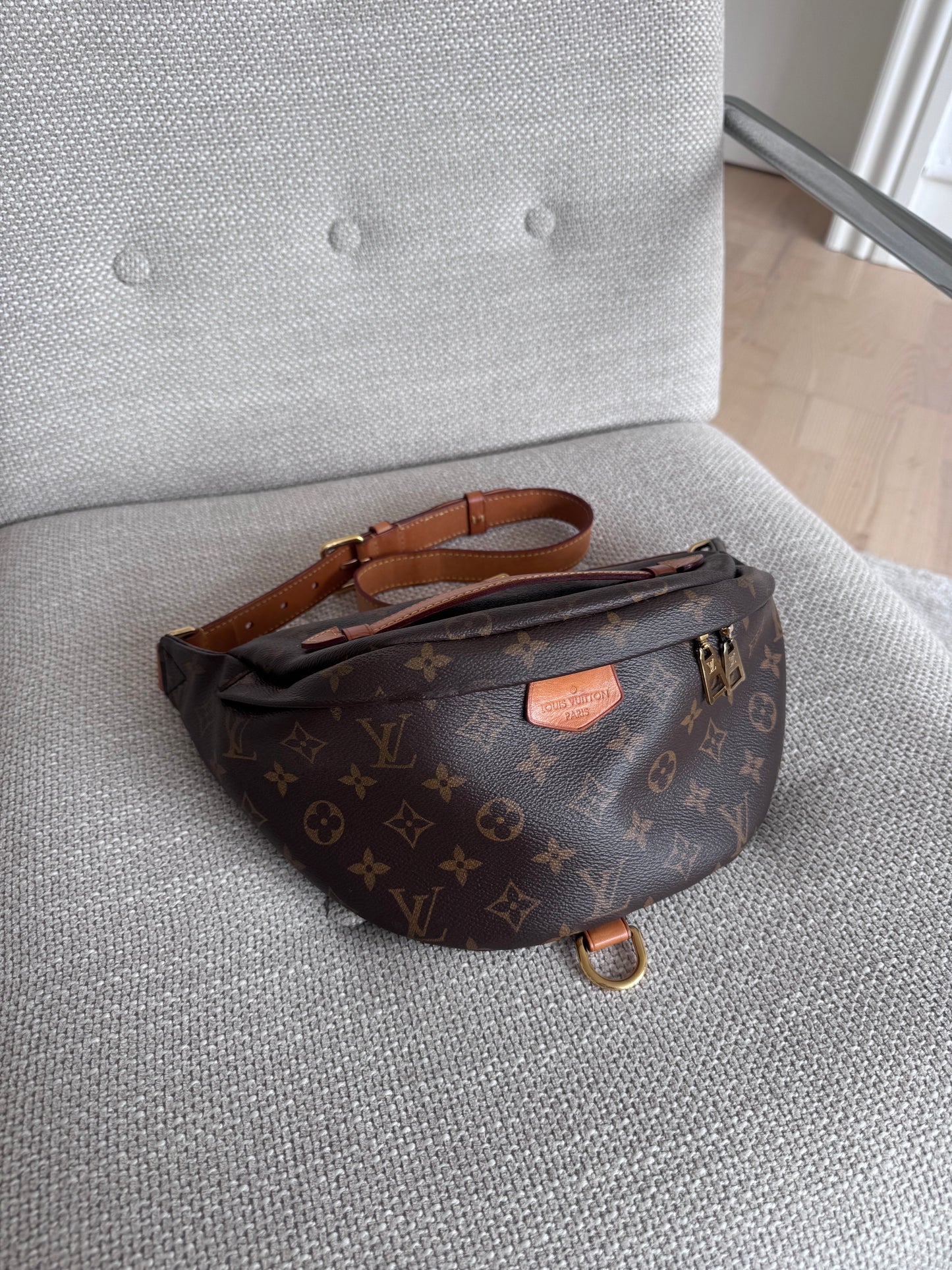 Louis Vuitton Bumbag Monogram