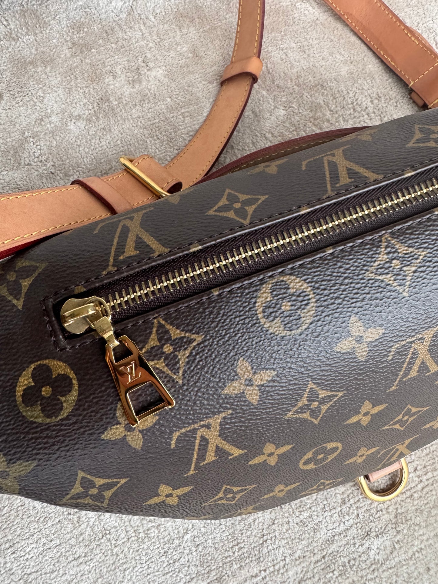 Louis Vuitton Bumbag Monogram