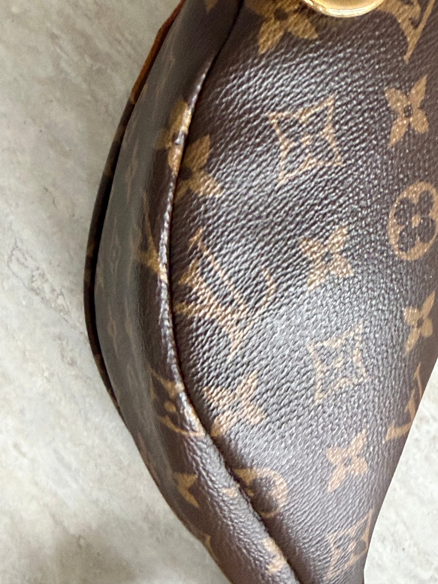 Louis Vuitton Monogram Bumbag