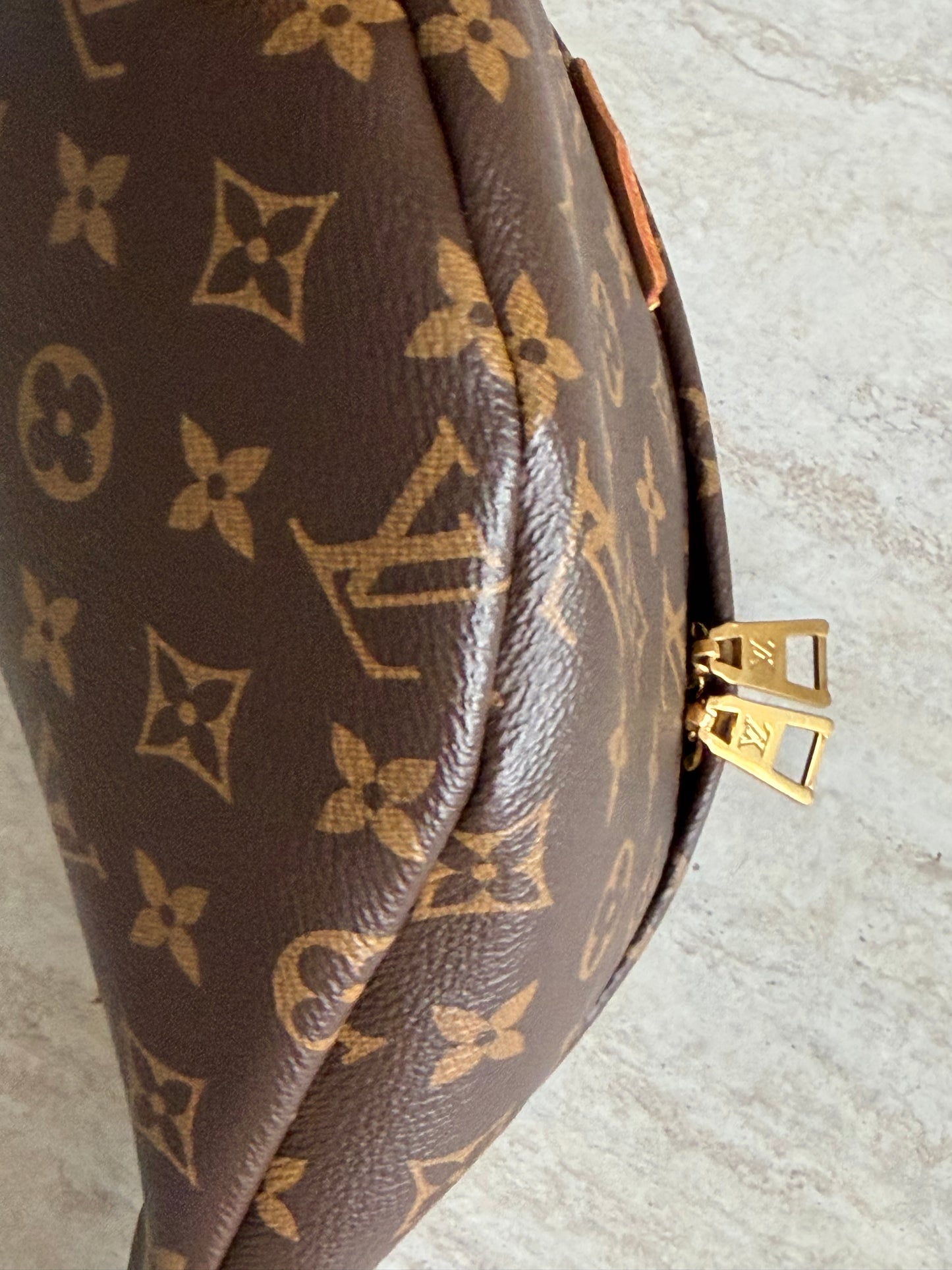 Louis Vuitton Monogram Bumbag
