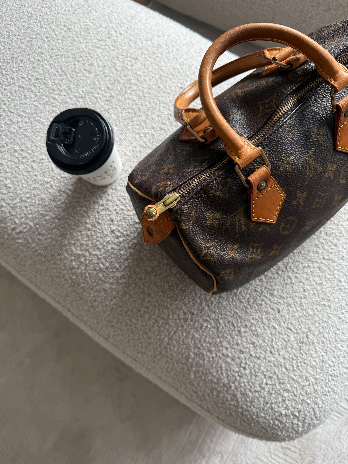 Louis Vuitton Speedy 25 Bag