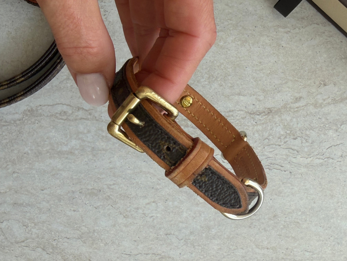 Louis Vuitton Baxter hundesnor & halsbånd – Monogram Canvas