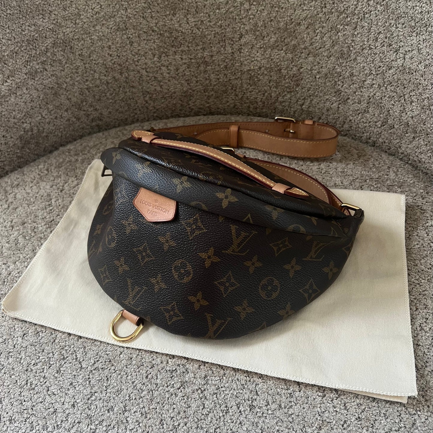 Louis Vuitton Bumbag Monogram