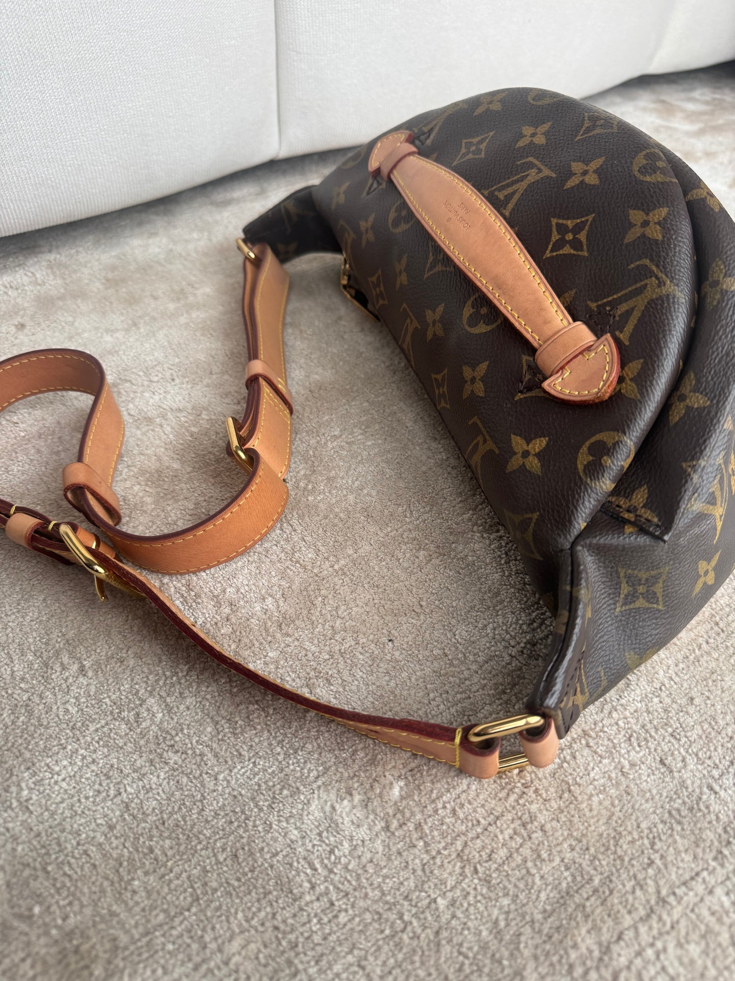 Louis Vuitton Bumbag Monogram