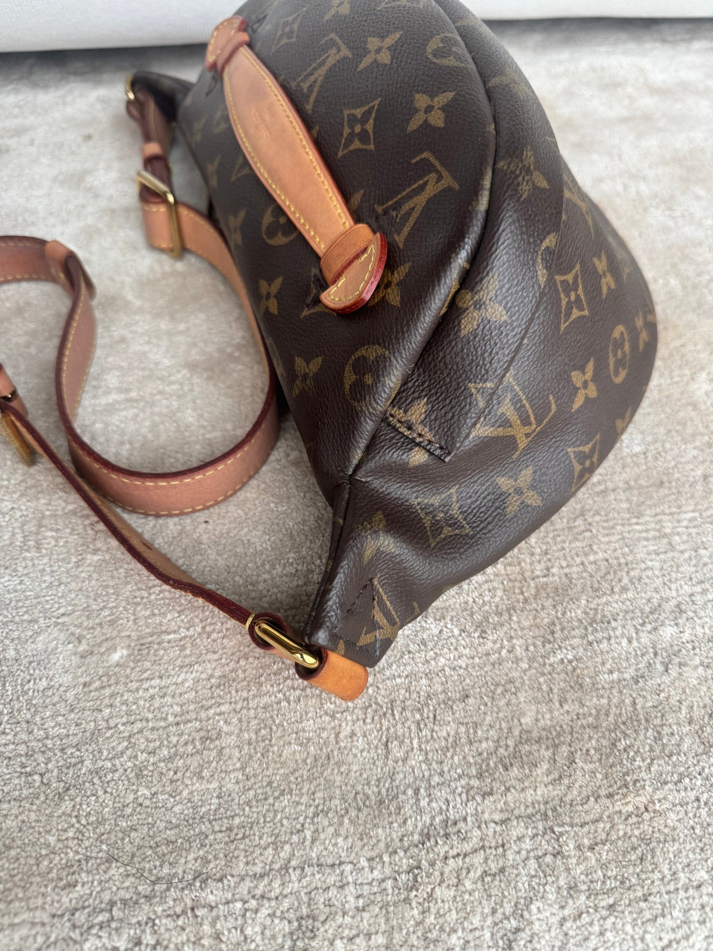 Louis Vuitton bumbag Monogram