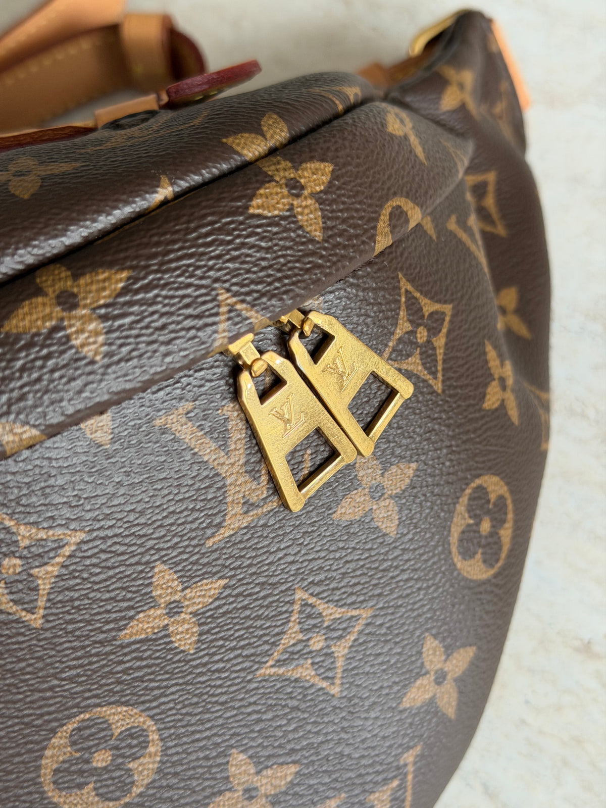 Louis Vuitton Monogram Bumbag