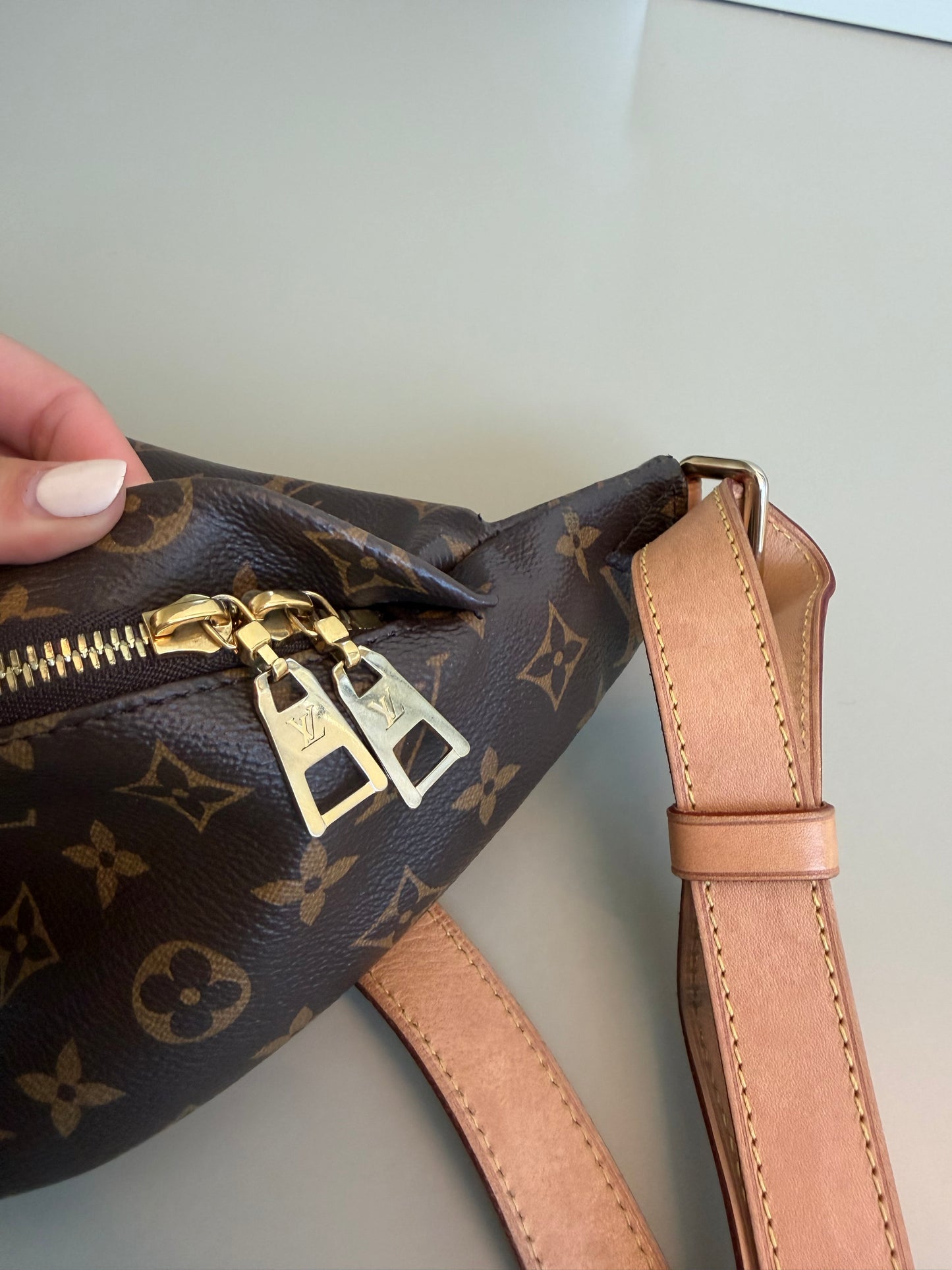 Louis Vuitton Monogram Bumbag