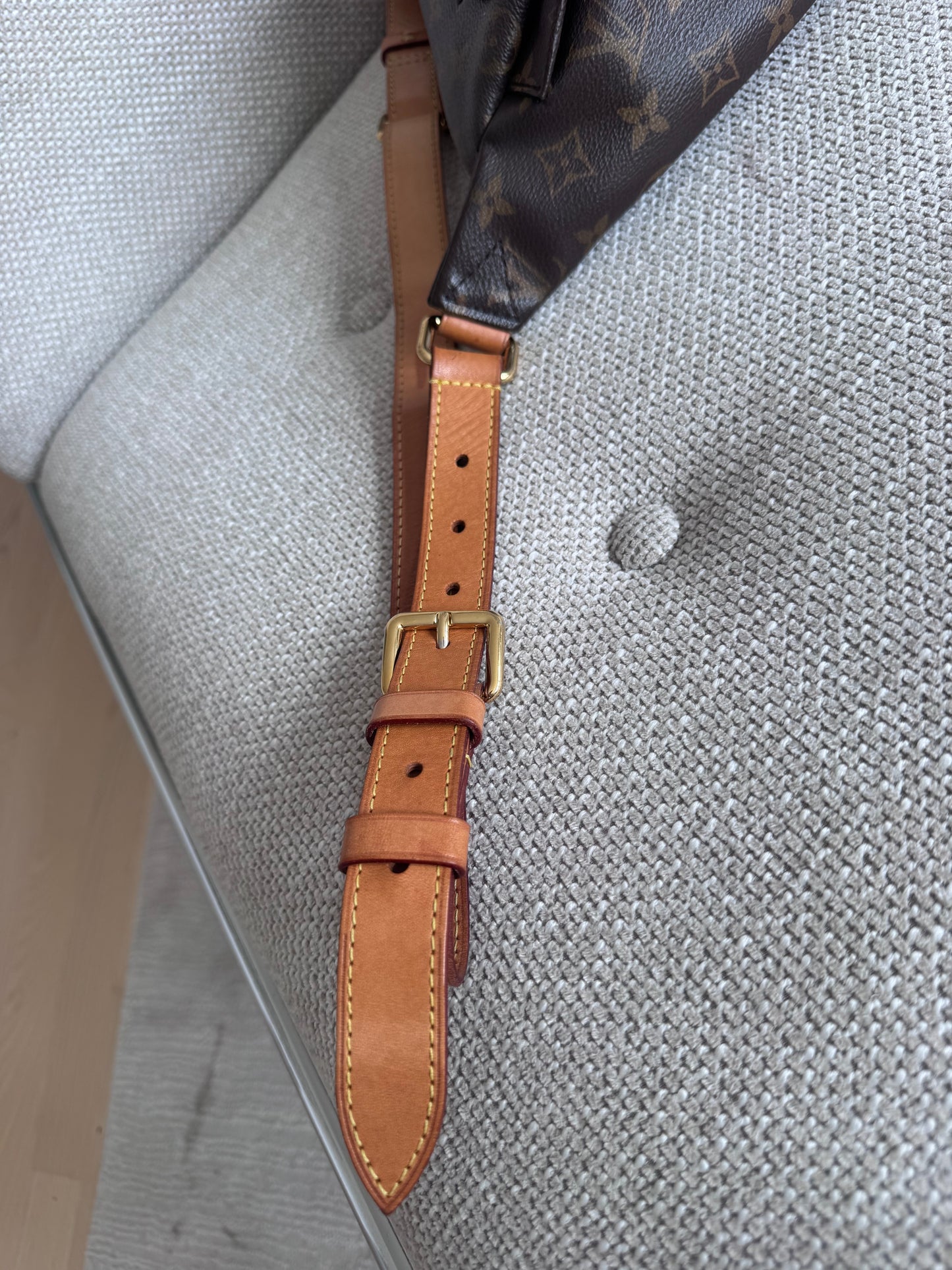 Louis Vuitton Bumbag Monogram