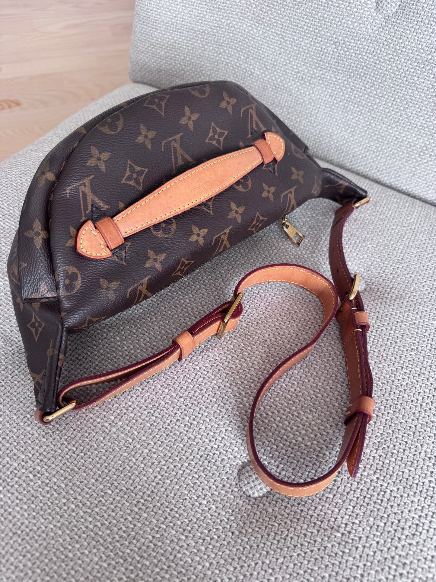 Louis Vuitton Bumbag Monogram