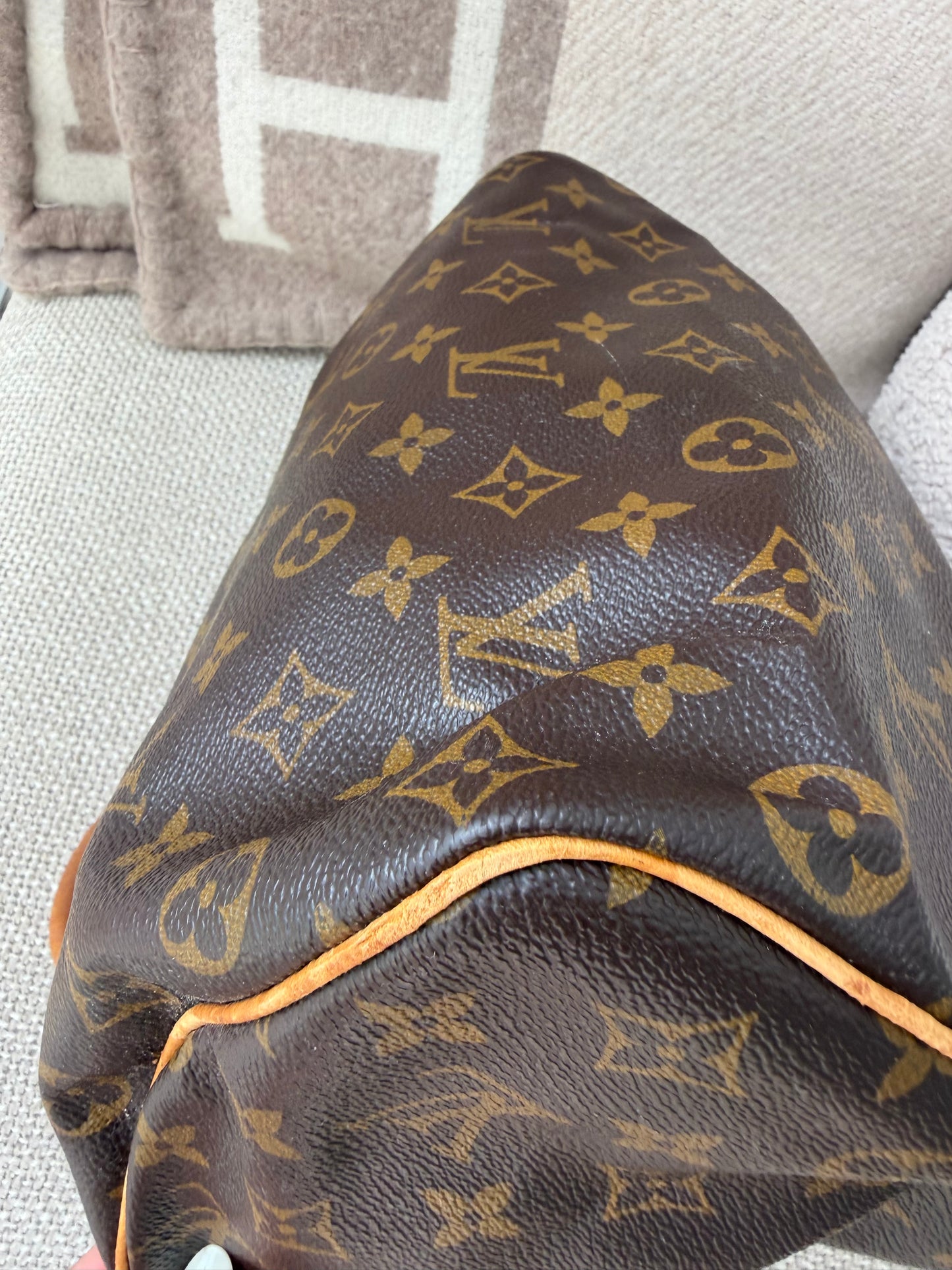 Louis Vuitton Speedy 25 – Monogram Canvas