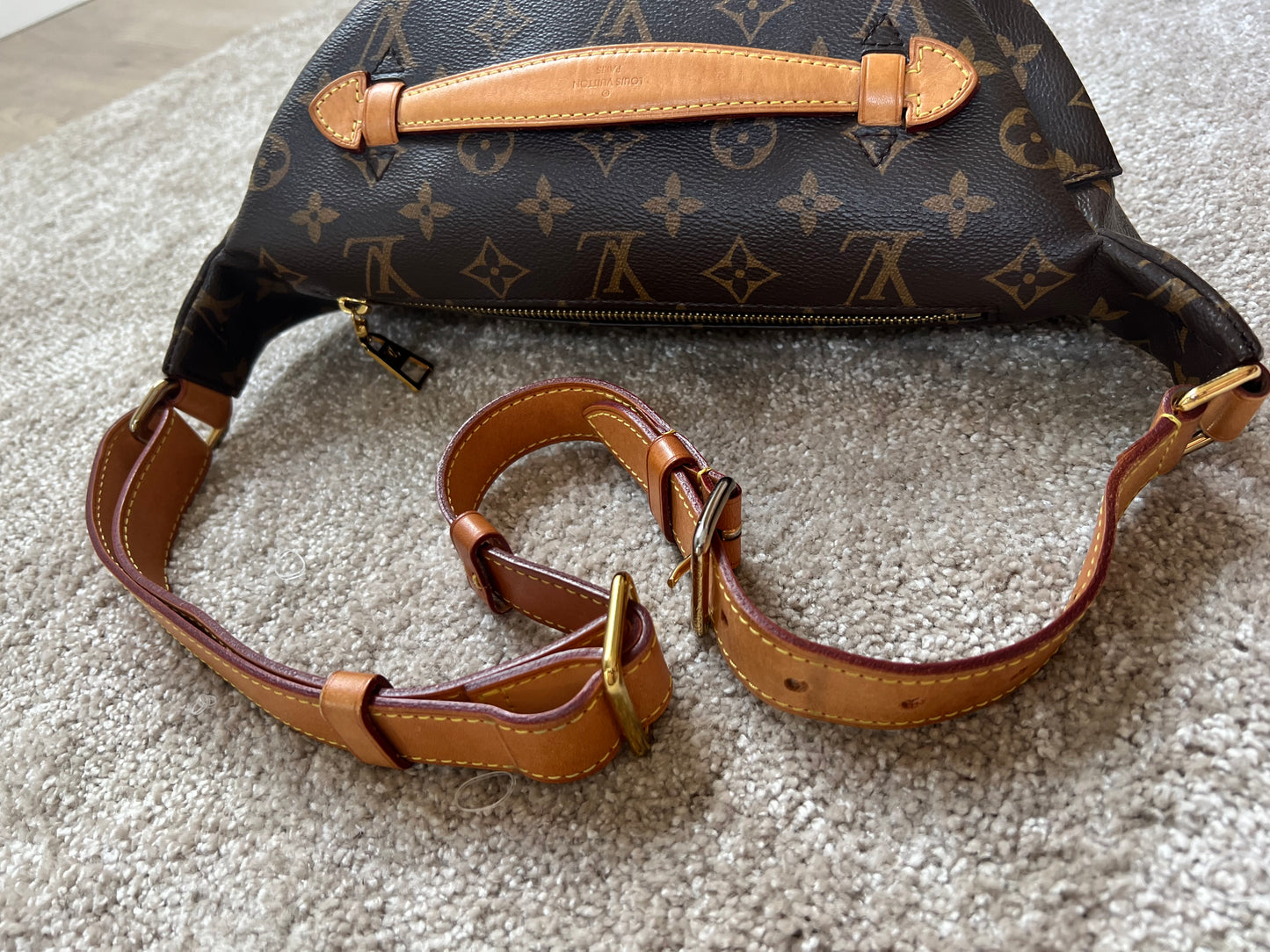 Louis Vuitton Bumbag Monogram