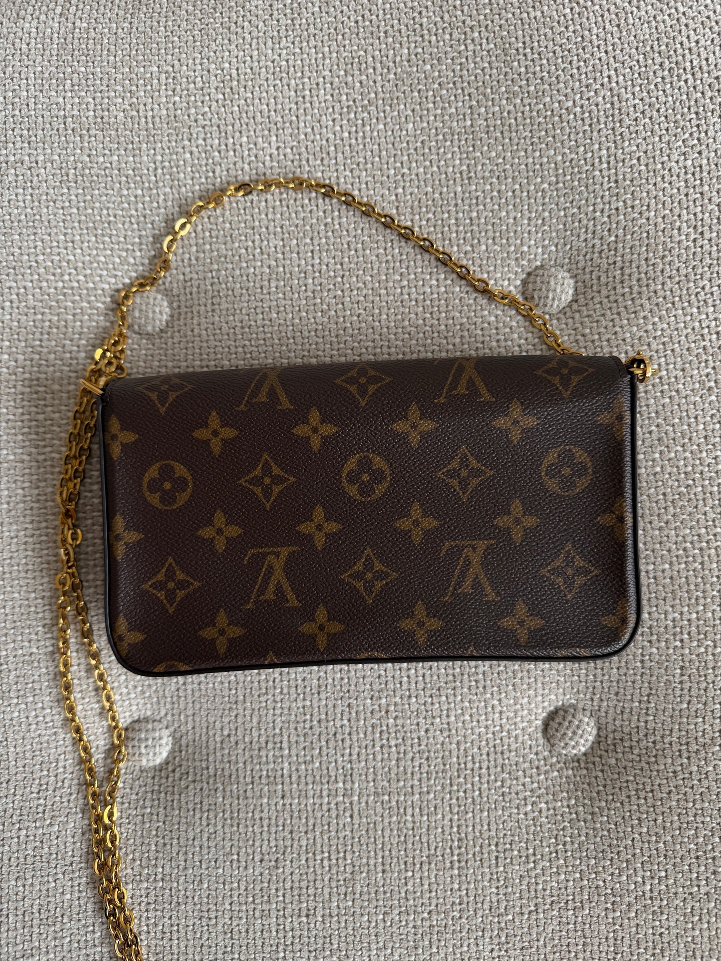 Louis Vuitton Pochette Félicie Monogram Canvas