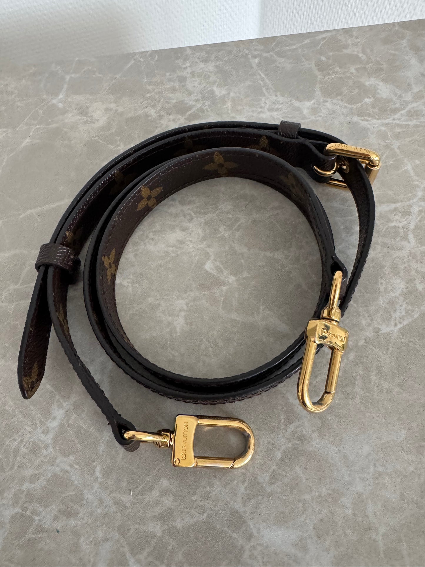 Louis Vuitton Métis – Monogram Canvas