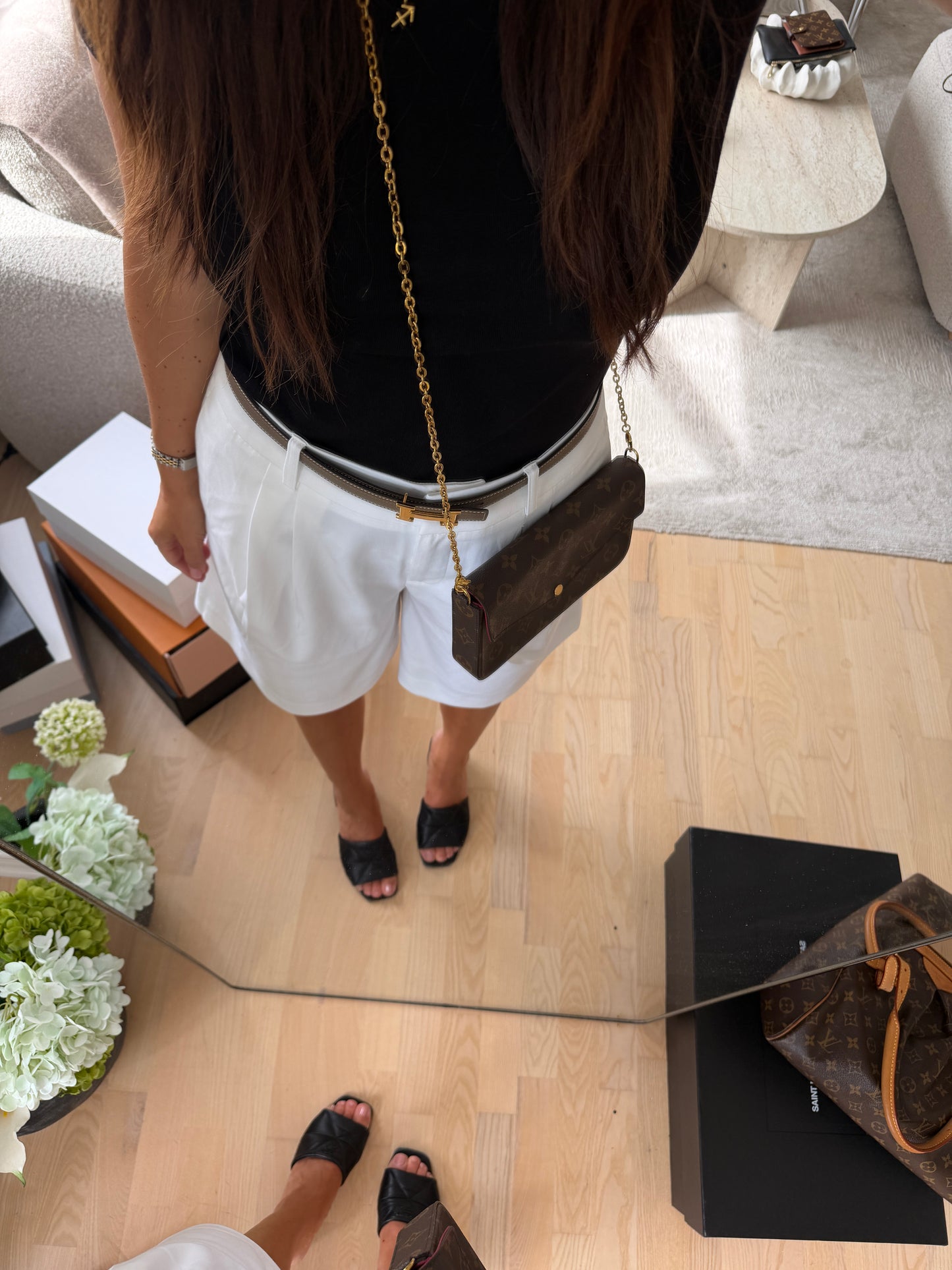 Louis Vuitton Pochette Félicie Monogram Canvas