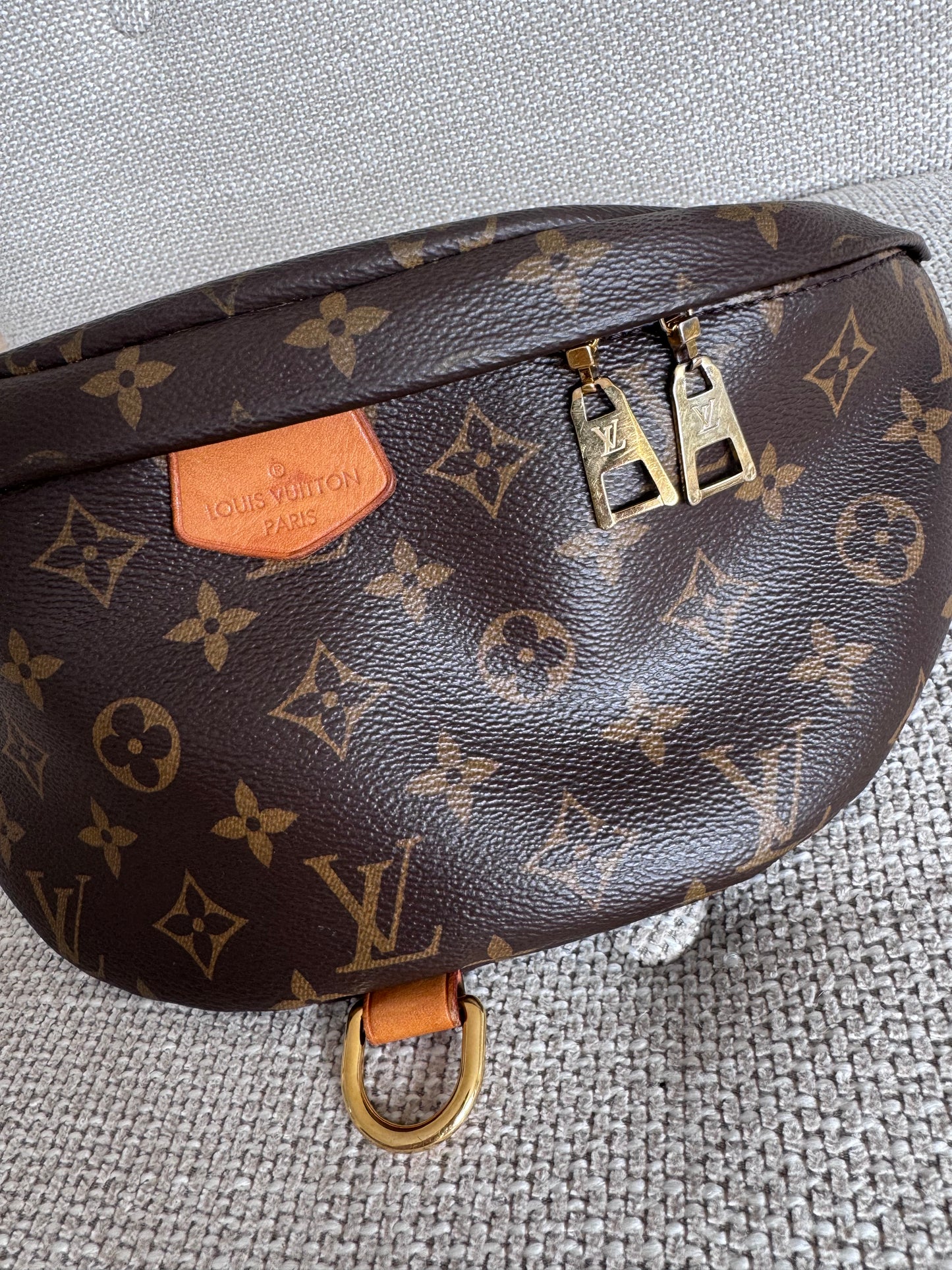 Louis Vuitton Bumbag Monogram