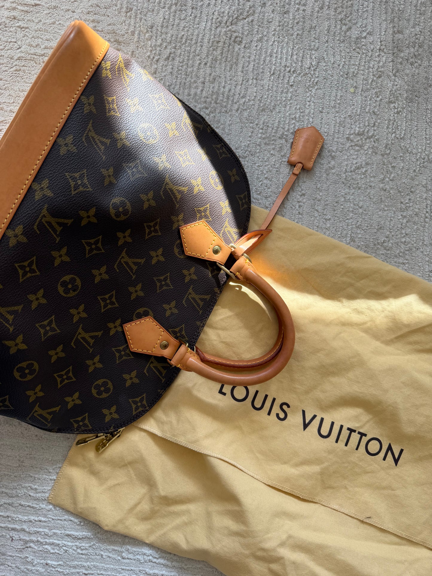 Louis Vuitton Alma PM – Monogram Canvas